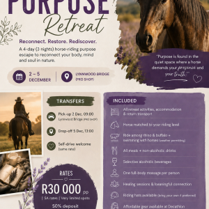 Find Your Purpose – A Luxurious Space for Answers & Direction