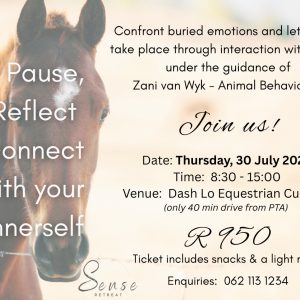Unbridle Your Passion with a horse- infused experience