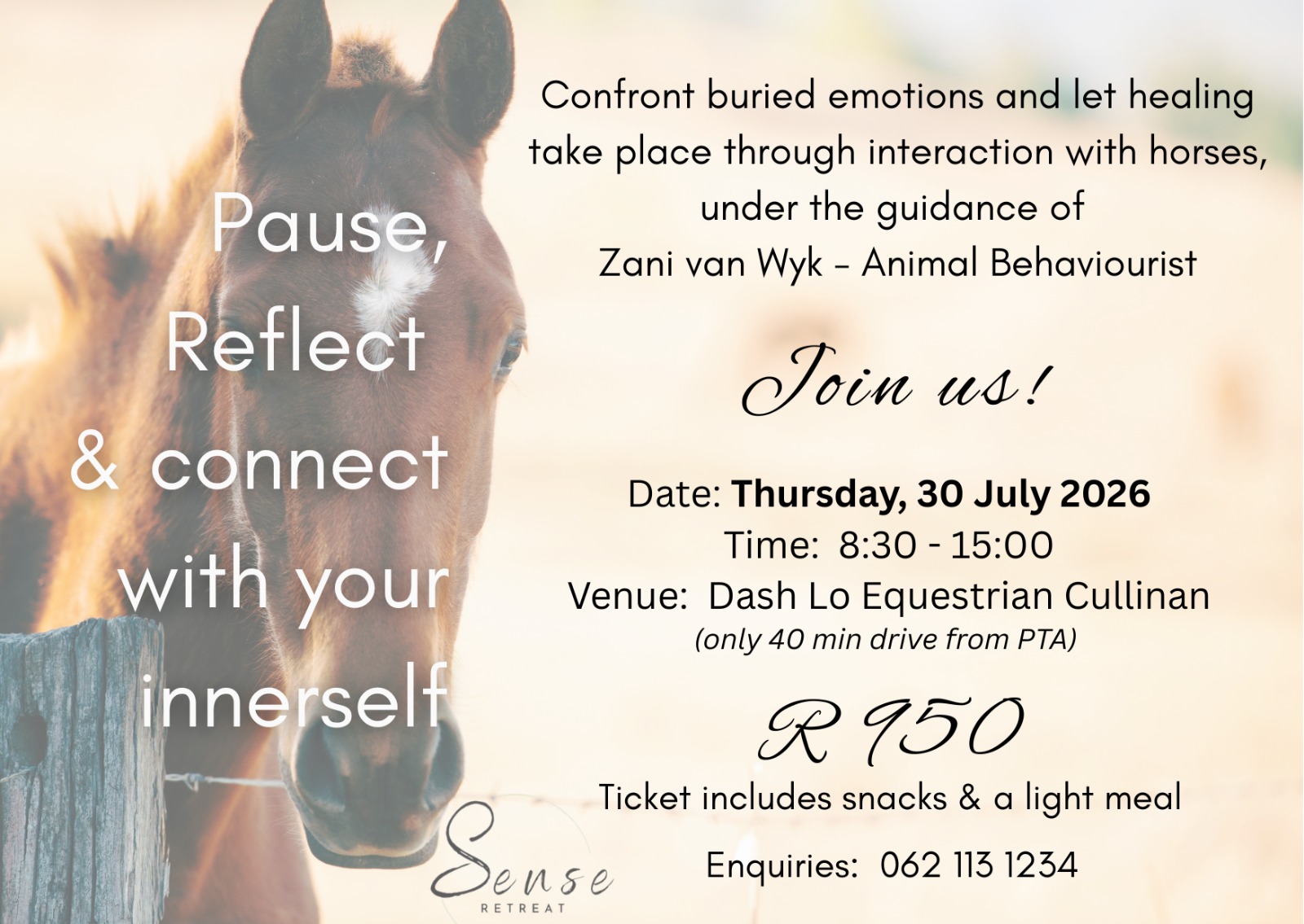 Unbridle Your Passion with a horse- infused experience