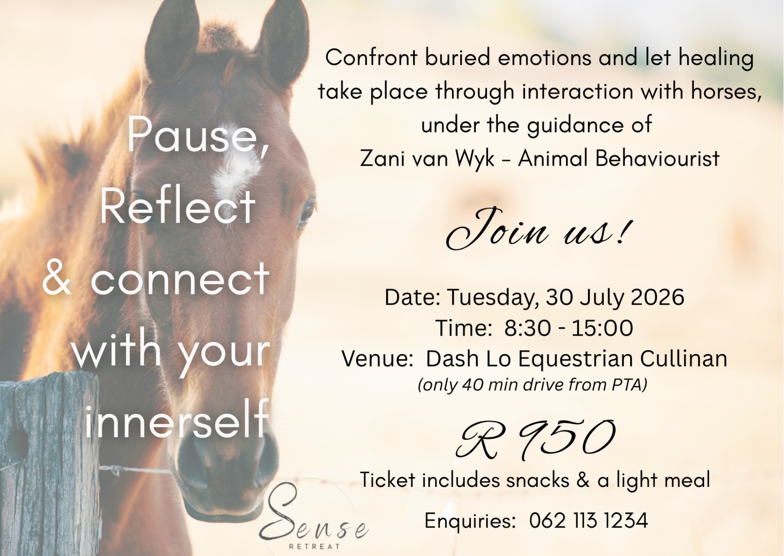 Unbridle Your Passion with a horse- infused experience