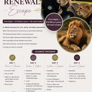 The Renewal Escape